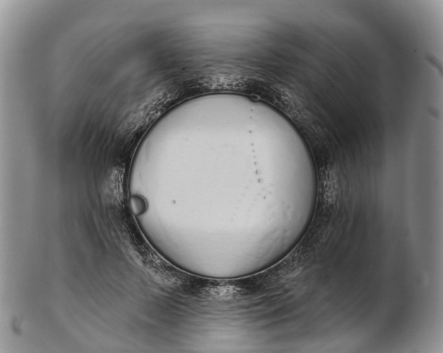 X0000103260695200809121923