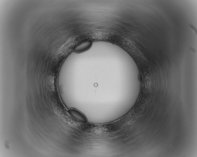 X0000103260696200809121923