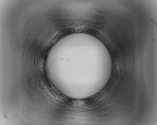 X0000103260698200809121923