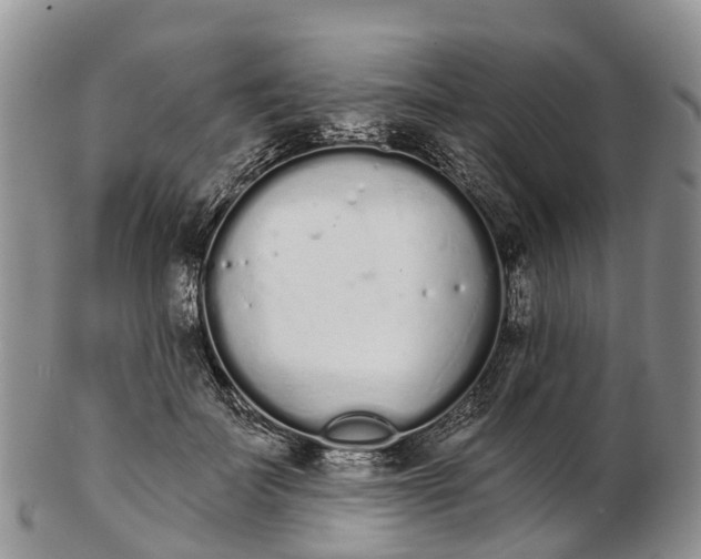 X0000103260699200809121923