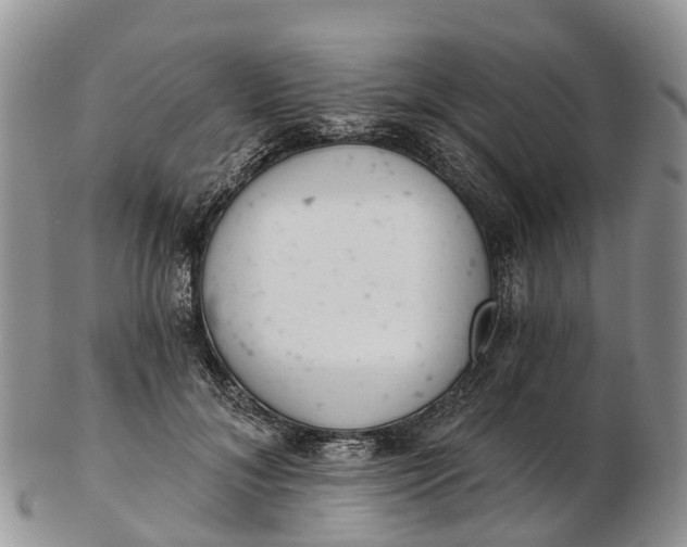 X0000103260700200809121923