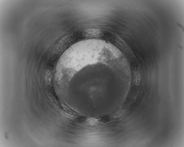 X0000103260701200809121923