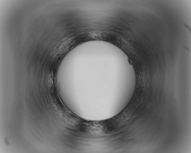 X0000103260702200809121923