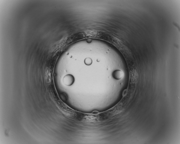 X0000103260703200809121923