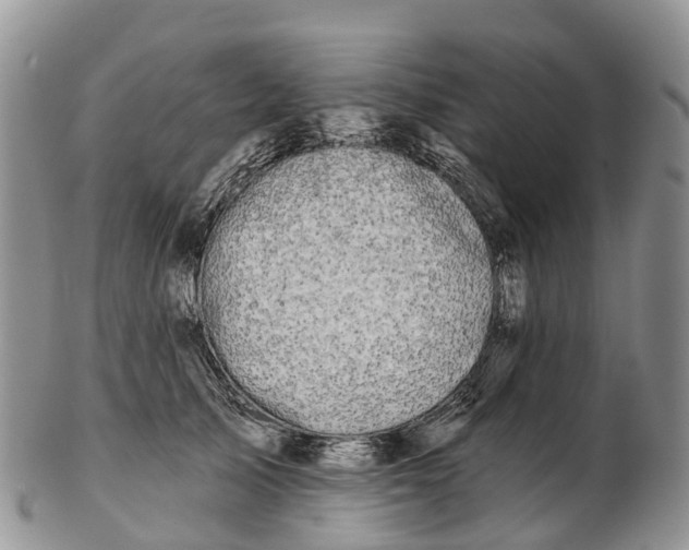 X0000103260705200809121923