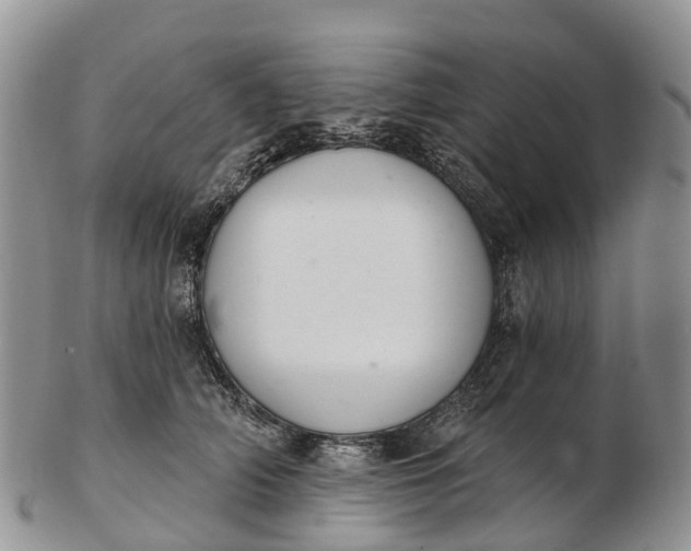 X0000103260706200809121923