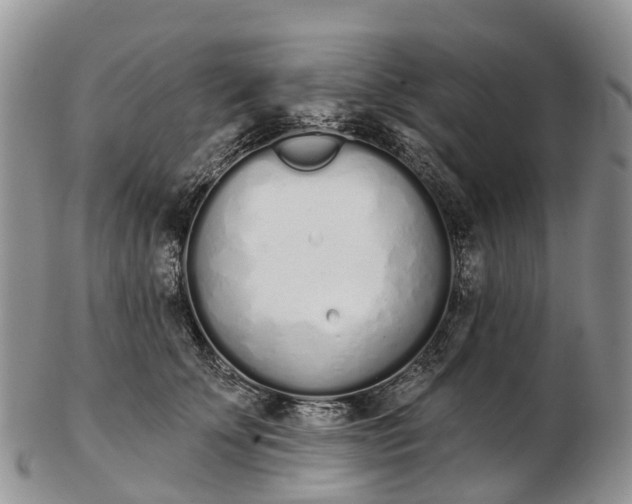 X0000103260707200809121923