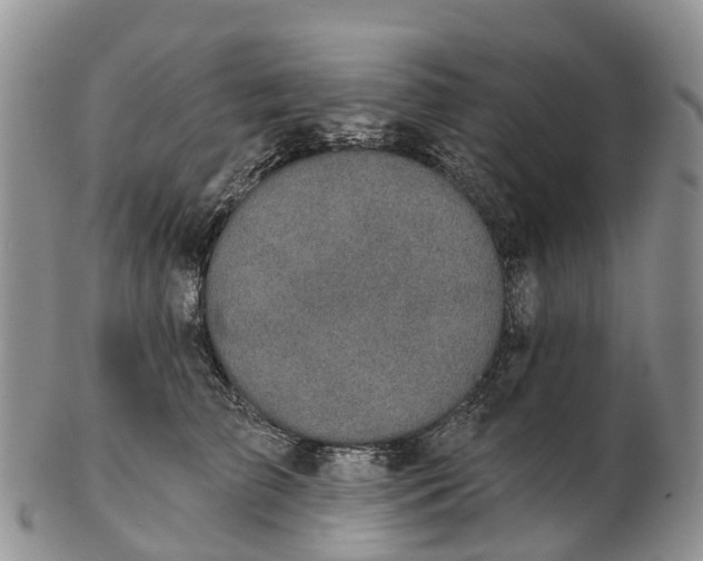 X0000103260709200809121923