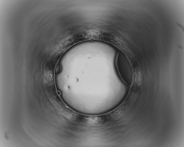 X0000103260711200809121923