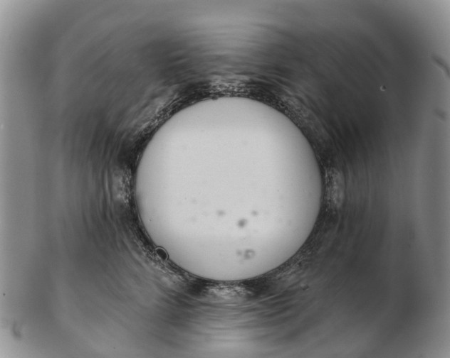 X0000103260712200809121923