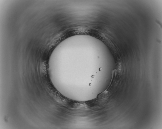 X0000103260715200809121923