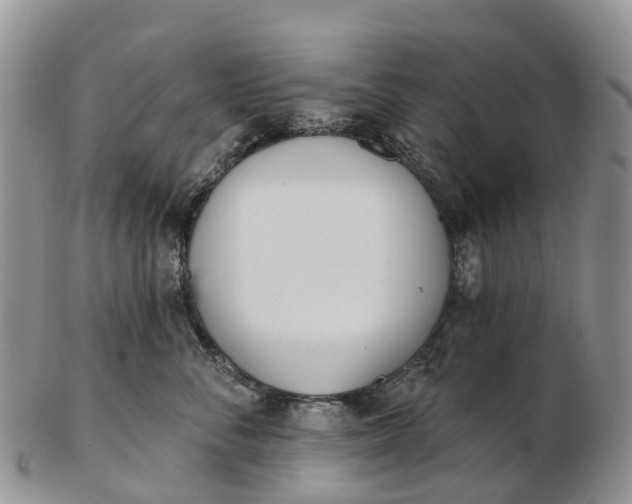 X0000103260716200809121923