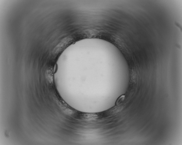 X0000103260719200809121923