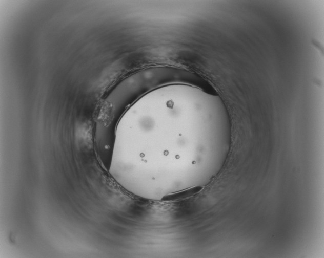 X0000103260720200809121923