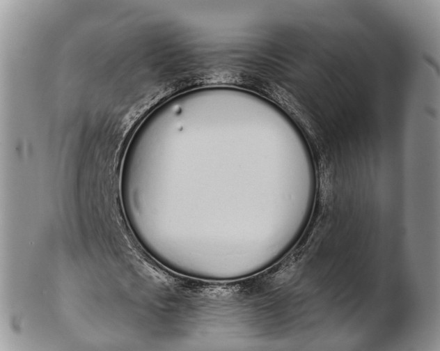 X0000103260721200809121922