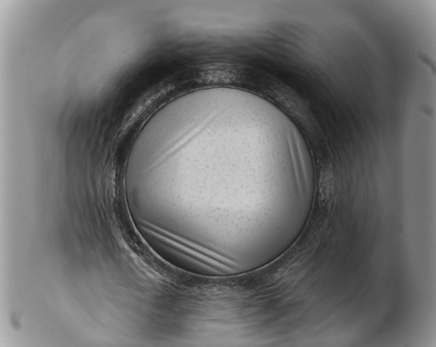 X0000103260722200809121922