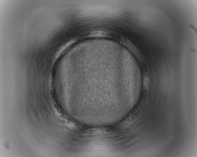 X0000103260724200809121922