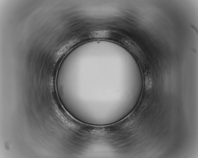 X0000103260725200809121922