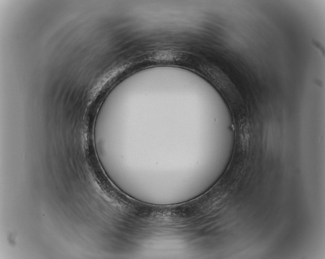 X0000103260728200809121922