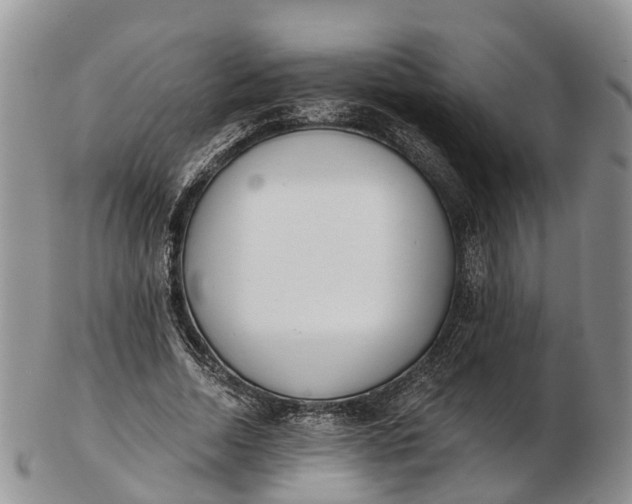 X0000103260730200809121922