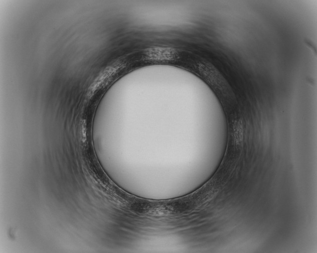 X0000103260731200809121922