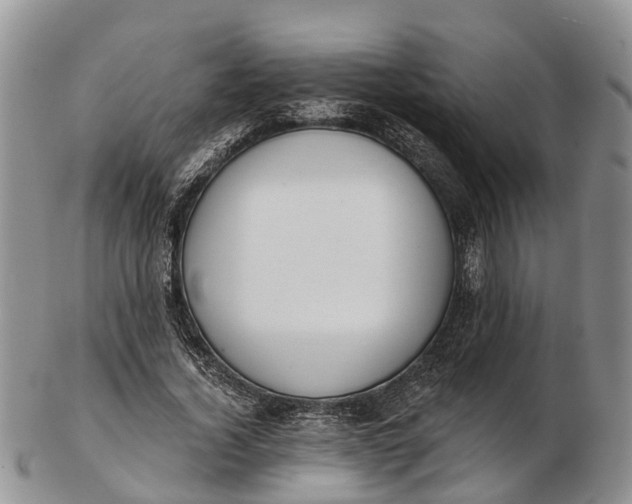 X0000103260732200809121923