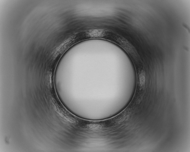 X0000103260733200809121923