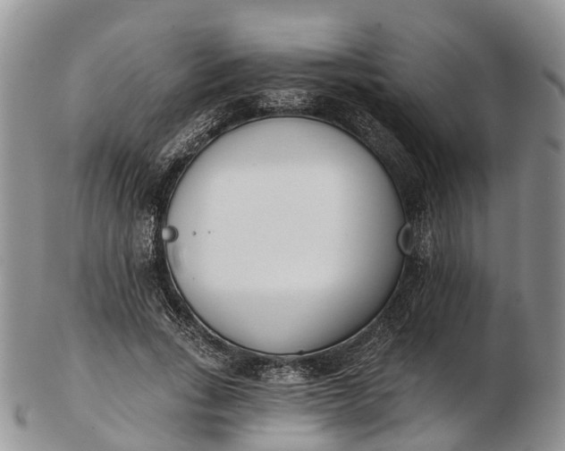 X0000103260735200809121923