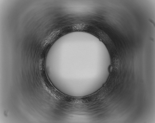 X0000103260738200809121923