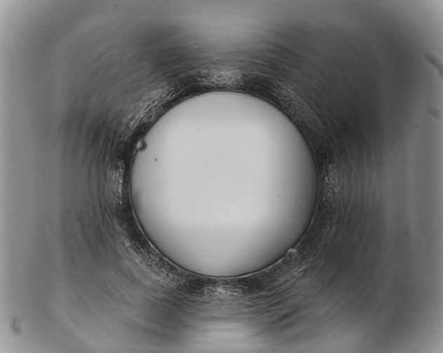 X0000103260739200809121923