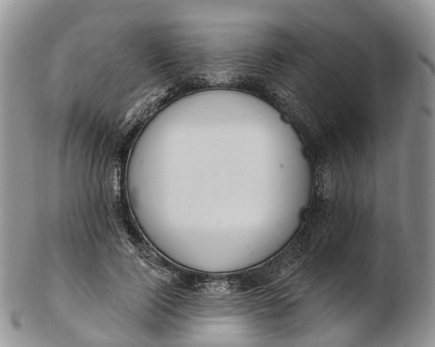 X0000103260740200809121923