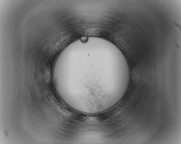 X0000103260741200809121923