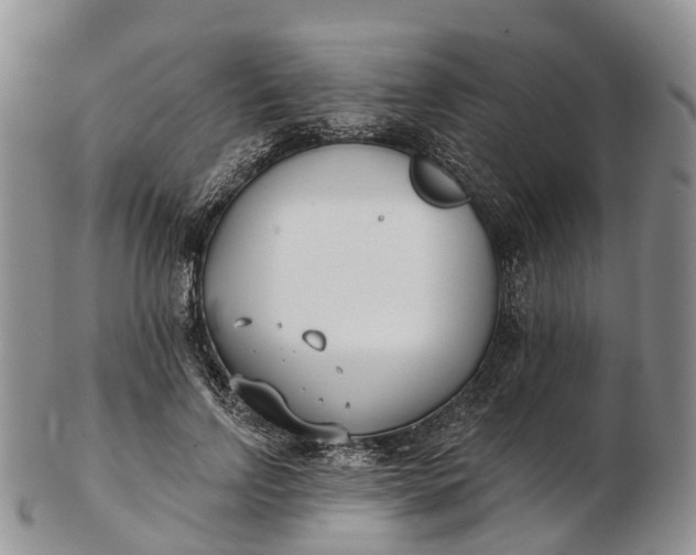 X0000103260742200809121923