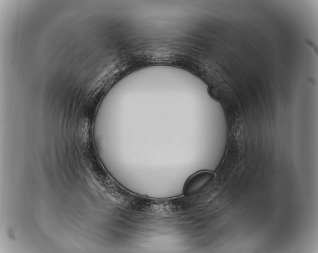 X0000103260744200809121923