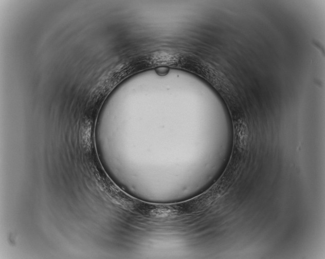 X0000103260745200809121923