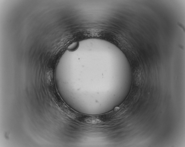 X0000103260747200809121923