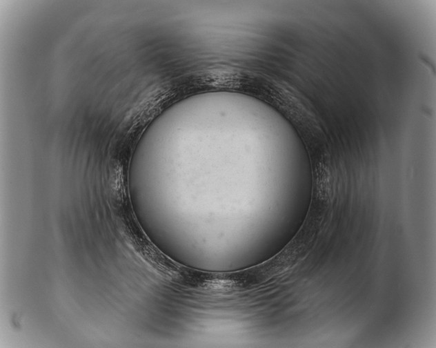 X0000103260748200809121923