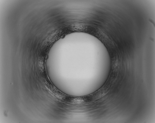 X0000103260749200809121923