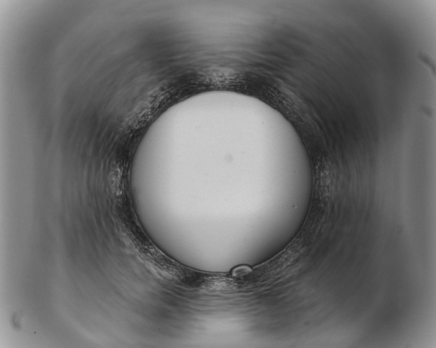 X0000103260750200809121923