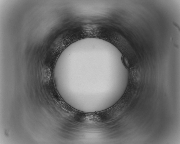 X0000103260752200809121923