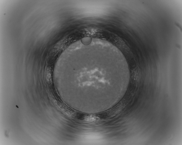 X0000103260754200809121923