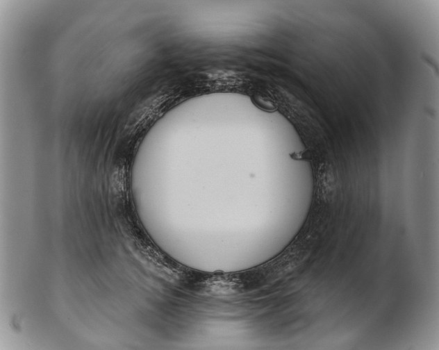 X0000103260756200809121923