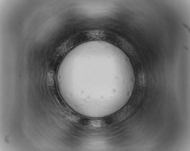 X0000103260757200809121923