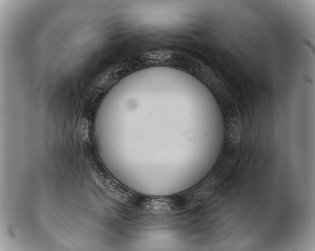 X0000103260758200809121923