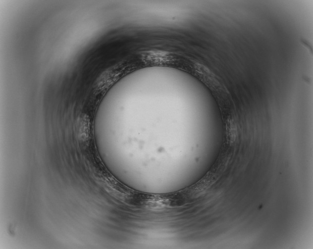 X0000103260760200809121923