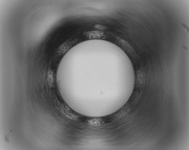 X0000103260761200809121923