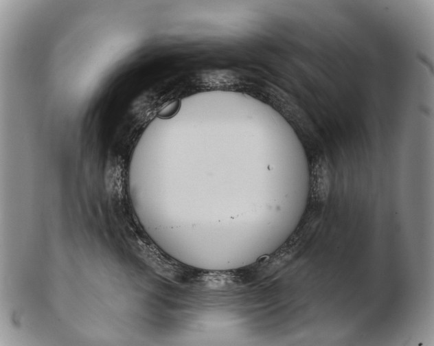 X0000103260762200809121923