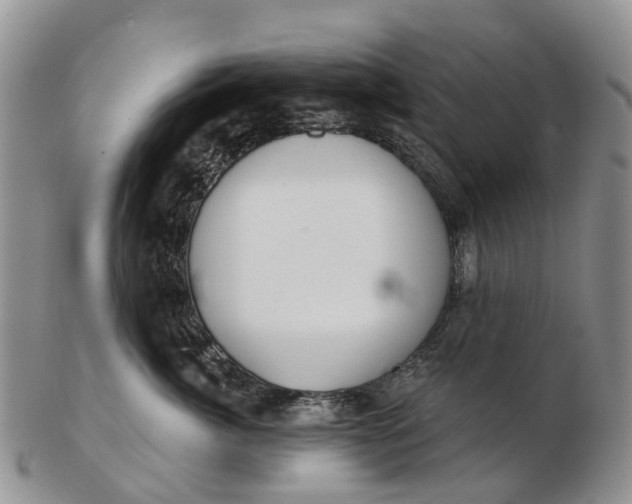 X0000103260764200809121923