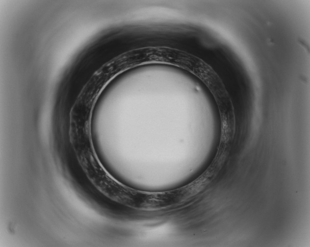 X0000103260765200809121923