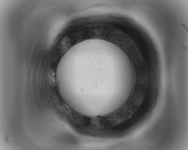 X0000103260766200809121923